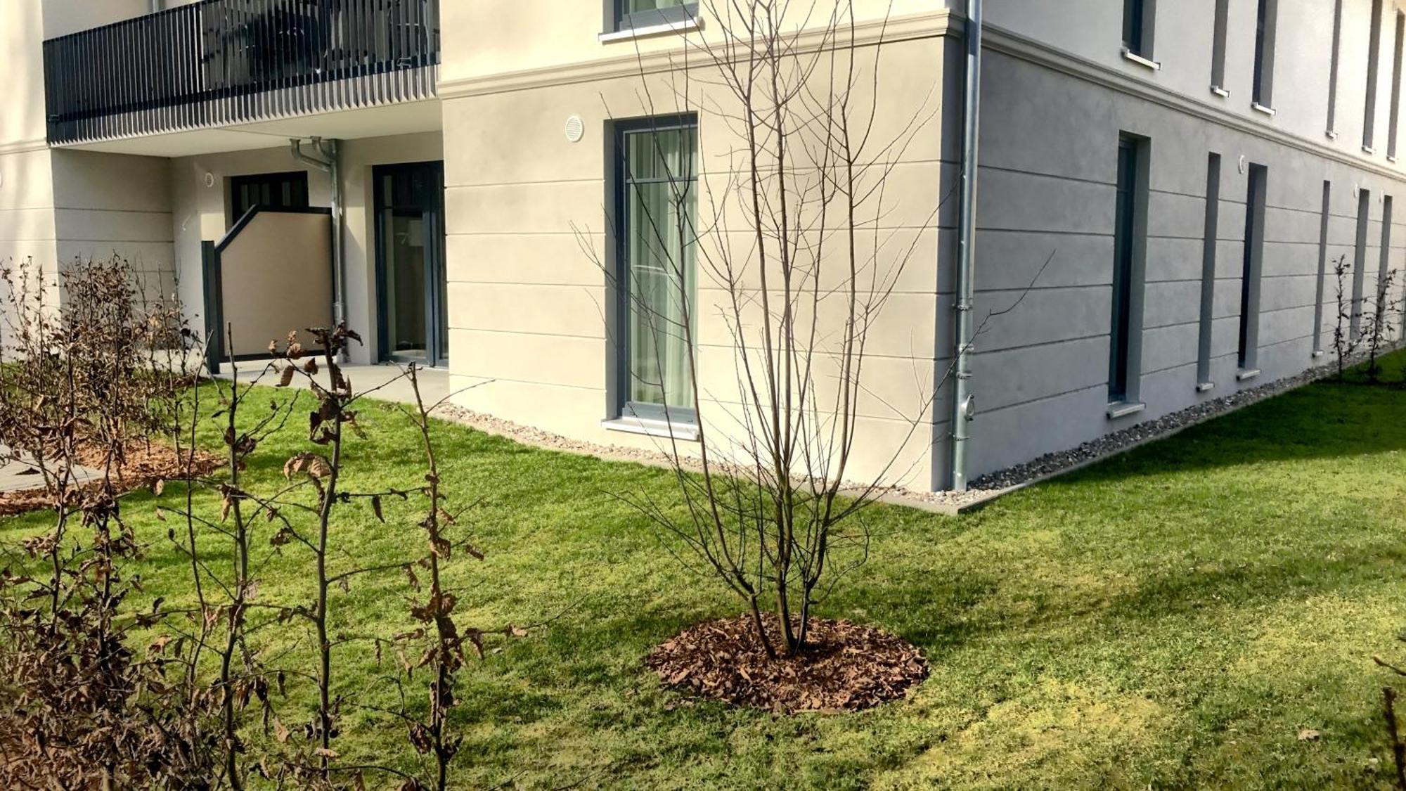 Villa Camenia Ostseebad Kühlungsborn Habitación foto